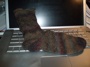 Finished Sock