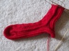 Mother's Wyvern Sock
