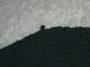Loose Stitch