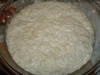 Dough After 14+ Hour Rise