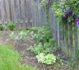 juneby1104