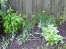 juneby404